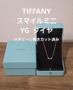 TIFFANY スマイルミニ YG ダイヤモンド ※チェーン長さ調整済み