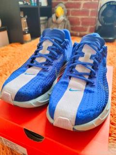 ★★NIKEペガサスプラス CMブルー28.0cmです★★