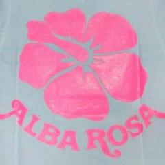 新品タグ付】アルバローザ ALBAROSA Tシャツ 刺繍 ギャル - メルカリ