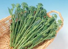 はなっこりー 茎ブロッコリー タネ 100粒