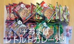 ヒロセ通商 合計68食分　レトルトカレー 34食セット ご飯34食分付き ヒロセ通商 レトルトカレーセット 66食