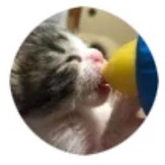 猫グッズ ブローチ ピンバッジ 飼い主 猫 父親 パパ ブラック 黒猫