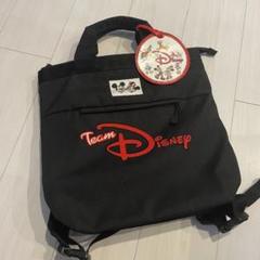 ディズニー　リュック　ディズニーランド