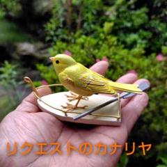 何でも揃う 小鳥 金糸雀 カナリヤ 小さなバードカービング 木彫 メルカリ - 置物