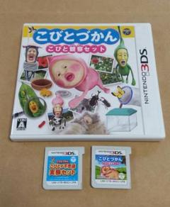 こびとづかん　こびとの不思議　実験セット　観察セット　3DS中古ソフト