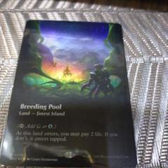 mtg アーティストプルーフ Breeding Pool / 繁殖池 英4枚 繁殖池 [GTC] 【BIGWEB | MTG】日本最大級の激安カードゲーム