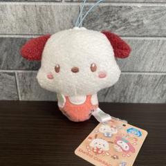 ポチャッコ サンリオキャラクターズ ポコポコきのこマスコット
