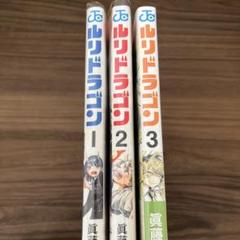 ルリドラゴン　販促ポスター　1巻　非売品 ルリドラゴン 販促ポスター 1巻 非売品 キャラクターグッズ