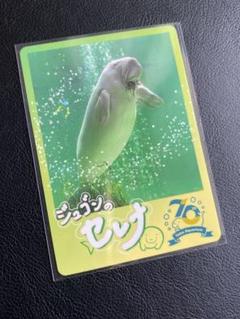鳥羽水族館 コレクションカード ノーマル ジュゴン セレナ