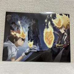 家庭教師ヒットマンREBORN リボアニ　ポストカード　沢田綱吉　プリーモ　一世 m56412225553_1.jpg?1749901459
