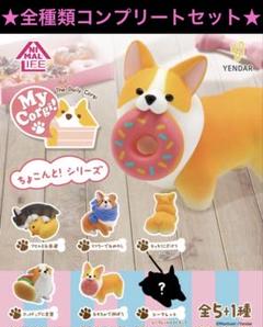 全種類セット 新品 コーギー フィギュア ちょこんと！シリーズ