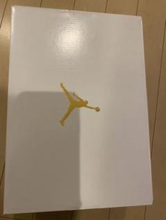 JORDAN BRAND WMNS JORDAN DELTA