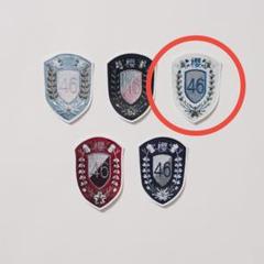 櫻坂　新せ界　缶バッジコンプリート 櫻坂46 幸阪茉里乃 新せ界 缶バッジ - メルカリ