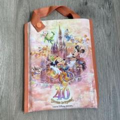 ディズニーランド レジャーシート - メルカリ