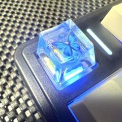 【新品未使用品】半透明 蝶 キーキャップ 十字軸 キーボードキーキャップのサムネイル