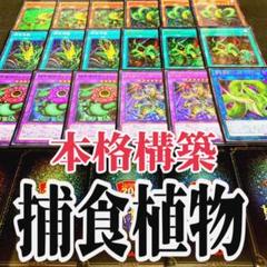 遊戯王 捕食植物