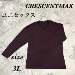 CRESCENTMAX (3L) 長袖ニット Vネック 薄手 ユニセックス