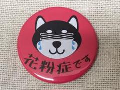 缶バッジ 花粉症 黒柴涙 ピンク クリップピン 缶バッチ