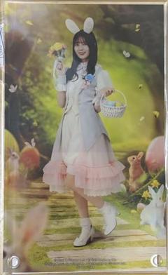 ひな図書 小坂菜緒 アクリルアートパネル 日向坂46とふしぎな図書室 ひな図書 小坂菜緒 アクリルアートパネル 日向坂46とふしぎな