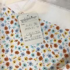 ドイツ製　コットン生地　3m