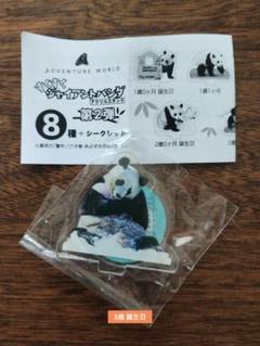 楓ちゃん　楓浜　パンダ　グッズ3点セット　缶バッチ　アクスタ　ピンズ　浜家　AW 楓ちゃん 楓浜 パンダ グッズ3点セット 缶バッチ アクスタ