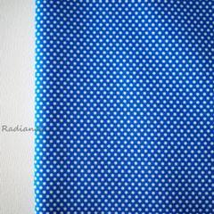 190.ドット☆水玉柄☆シーチング☆コットン☆はぎれ布☆生地☆青×白