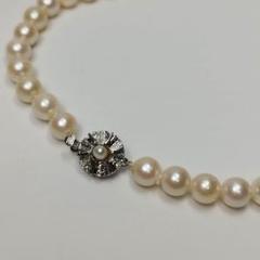 パールネックレス アコヤ真珠 本真珠　8mm SILVER刻印 冠婚葬祭