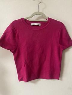 ZARA 半袖ニット Lサイズ ピンク