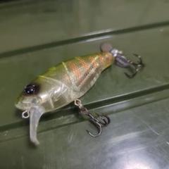 【合馬】デプス　バジェット　8個セット　( 4 + jr 4 )　未使用 2025年最新】デプス バズジェットjrの人気アイテム - メルカリ