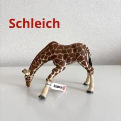 【新品❤️未使用】シュライヒ動物フィギュアメンズ・レディース⭐️アニマル14種セット 新品❤️未使用】シュライヒ動物フィギュアレディース・メンズ