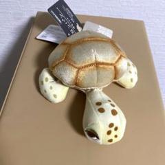 ディズニー　Disney Nuiパン　クラッシュ　メロンパン　ぬいぐるみ　⭐️新品