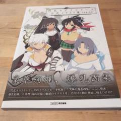 閃乱カグラシリーズ 公式イラスト集 少女達の軌跡
