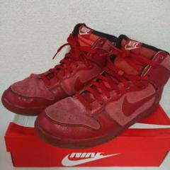 Nike ダンク【レア】30cm