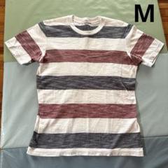 メンズ　半袖　Tシャツ　ボーダー　M オーガニックコットン