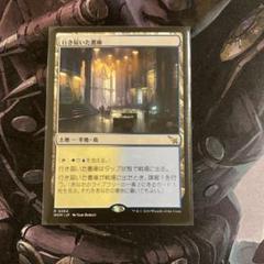 MTG 行き届いた書庫　二枚セット　英語 行き届いた書庫/Meticulous Archive《英語》【MKM】