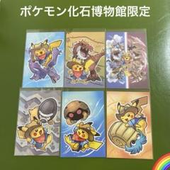 ポケモン 化石博物館 ポストカード 発掘ピカチュウ 全6種×4枚 計24枚セット 新品☆ポケモン化石博物館 限定ポストカード 6枚セット＊PG