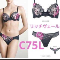 希少 ワコール サルート 店舗限定 ブラジャー,ショーツ C65/ M サルート ワコール 新品 ブラC65/ショーツM - メルカリ