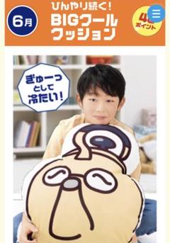 2025年最新】むぎ茶 クッションの人気アイテム - メルカリ