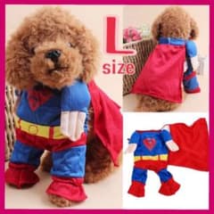 スーパーヒーロー マントの中古 未使用品 メルカリ