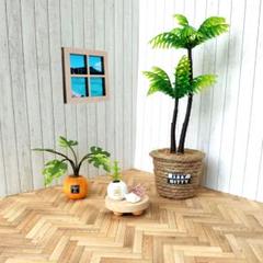 ミニチュア観葉植物セットМのサムネイル