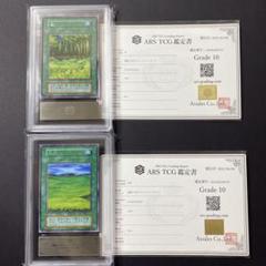 遊戯王　草原　森　初期　ARS10 鑑定書付き　スターターボックス開封品　まとめ 遊戯王 草原 森 初期 ARS10 鑑定書付き スターターボックス開封