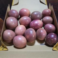 あまーい、パッションフルーツ種子島産 chappyです。 🍈【八丈島の夏の味×生産者の想い】🌴 八丈島のパッション