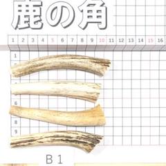 鹿の角 B-1 4本セット 約100g 鹿角 鹿ツノ しかつの - メルカリ