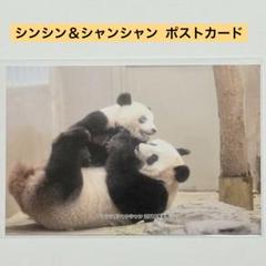 2025年最新】シャンシャン ポストカードの人気アイテム - メルカリ