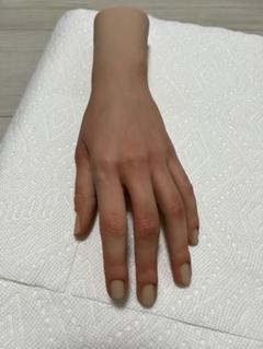 ☆専用☆アリアナハンド 右手ハーフ □アリアナハンド ハーフハンド Anais LifeLike,Winter ワイヤー
