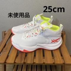 未使用品 25cm asics NOVA SURGE 3 GS