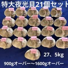 2025年最新】夜光貝ルアーの人気アイテム - メルカリ