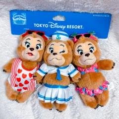 カントリーベアシアター　ぬいぐるみバッジ　サンボネッツ カントリーベアシアター サンボネッツ ぬいぐるみバッジ - メルカリ