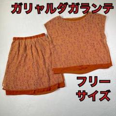 【ガリャルダガランテ】セットアップ　カットソー　スカート　シアー素材　美品
