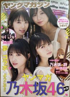 ヤングマガジン セット４８冊まとめ売り 2025年最新】ヤングマガジン48の人気アイテム - メルカリ